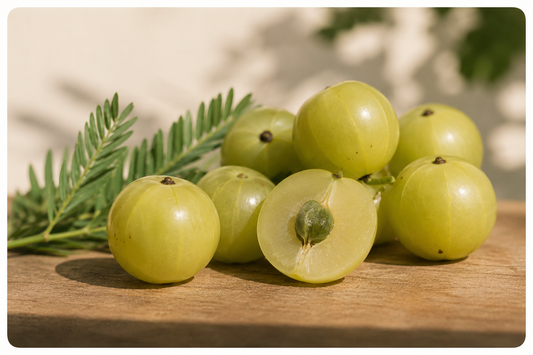Amla (Indian Gooseberry): Plant Profile, Traditional Use, and Modern Research