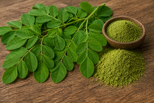 Moringa: Plant Profile, Traditional Use, and Modern Research