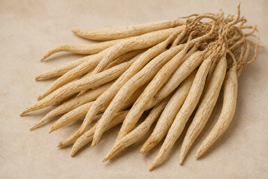 Shatavari: Plant Profile, Traditional Use, and Modern Research