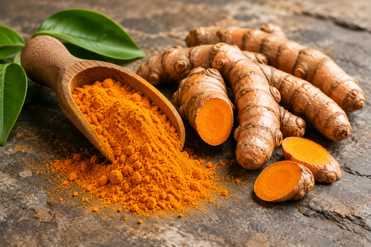 Turmeric (Haridra): Plant Profile, Traditional Use, and Modern Research