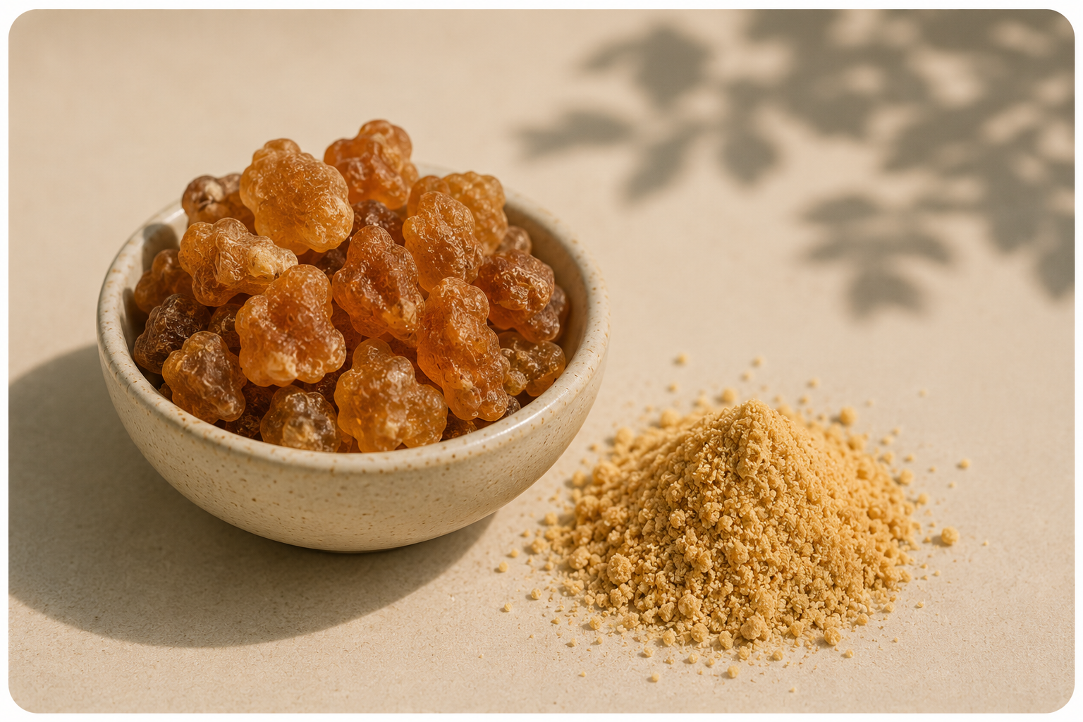 asafoetida – hing – Ferula assa-foetida
